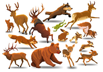 Vector set of wild forest animals like stag, bear, wolf, fox, running isolated on a white background