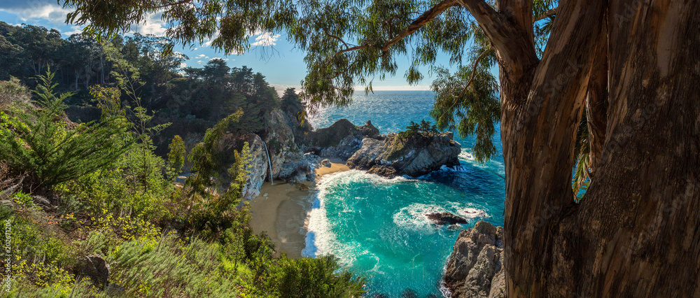 A panoramic view of McWay falls along the Big Sur coast of California. - obrazy, fototapety, plakaty 