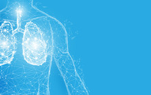 Human Lungs Anatomy Form Lines And Triangles, Point Connecting Network On Blue Background. Illustration Vector