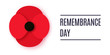 Anzac Day vector banner. Paper cut Red Poppy flower - a symbol of International Day of Remembrance. Poppy for Armistice day.