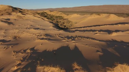 Canvas Print - Aerial view of massive sand dunes in the arid region of the Northern Cape, South Africa