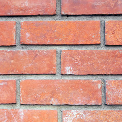 Canvas Print - Close-up red brick walls