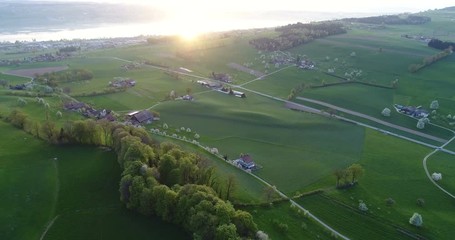Wall Mural - Aerial view on a beautiful spring morning over a row of trees and meadows with the sun in the backlight in central Switzerland