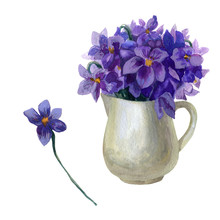 Watercolor Illustration. A Bouquet Of Purple Flowers In A White Jug.