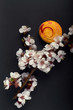 © alexmishchenko - A beautiful orange, apricot, mango French macaron \ macaroon on a black matte background. A branch of a flowering plant for a minimalistic decoration.