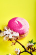 © alexmishchenko - A branch of cherry blossoms and a French dessert on a yellow bright and stylish background. Elegant dessert of almond flour macaron \ macaroon. Nice pink biscuit.