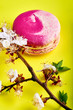 © alexmishchenko - A branch of cherry blossoms and a French dessert on a yellow bright and stylish background. Elegant dessert of almond flour macaron \ macaroon. Nice pink biscuit.