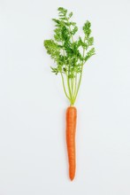 Bunch Of Carrots On The White Background Isolated