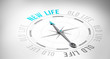 © vectorfusionart - Compass against new life or old life