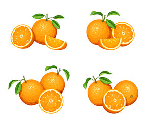 Wall Mural - Vector set of orange fruit isolated on a white background.
