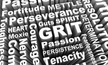 Grit Passion Perseverance Persistence Word Collage 3d Illustration