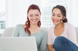 © WavebreakmediaMicro - Young female friends using laptop at home