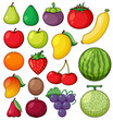 Tropical Fruits on White Background