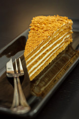 A piece of traditional honey cake on a black plate. Dark background. Shallow depth of field. Selective focus.