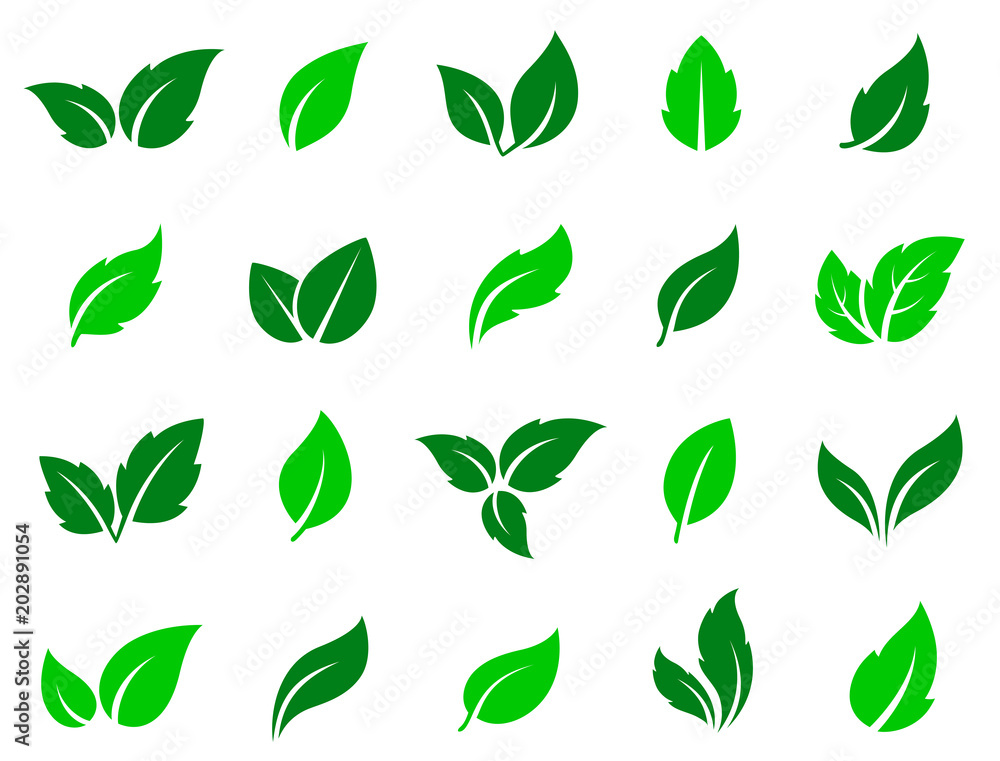 set of green leaves icons - obrazy, fototapety, plakaty 
