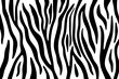Zebra stripes black and white abstract background.