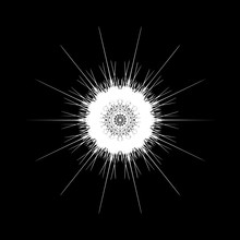 Decorative Mandala - Snowflake In A Black  -white Colors