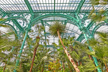 The Royal Greenhouses Of Laeken