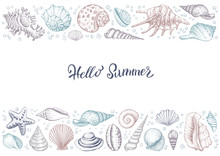 Summer Horizontal Colorful Vintage Banner With Seashells.