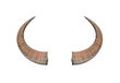 Buffalo horns on white background texture