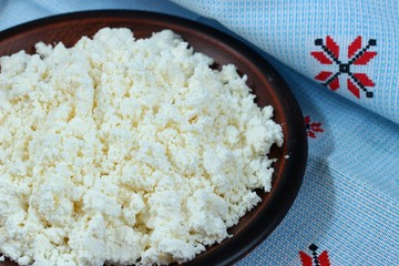 Poster - curd in bowl on dark wooden background