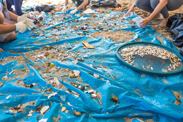 Beach Cleaning. Cleaning dirty beaches by the action of man. Sustainability of the planet and preservation of nature.