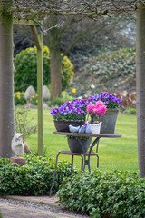 Rural country style spring garden with colorful flowers, cutted trees and green lawn