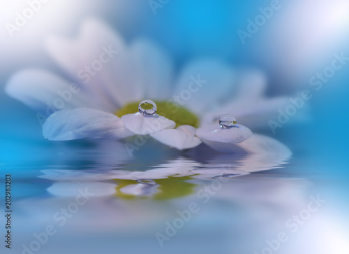 Beautiful Flowers Reflected In The Water Spa Concept Blue