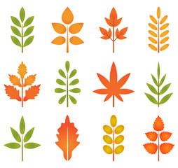 Wall Mural - cute leaves vector