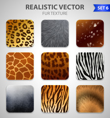 Wall Mural - Wild Animals Fur Texture Set