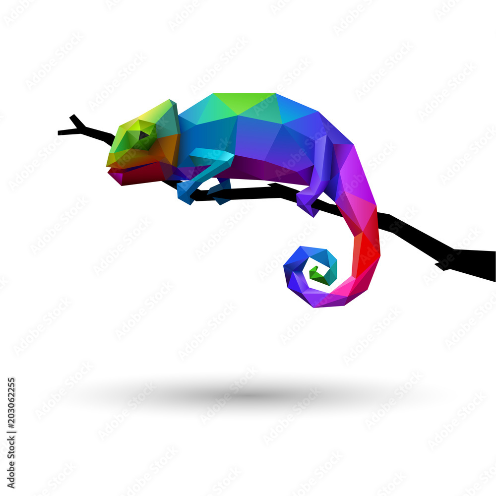 Colorful chameleon, logo concept of creativity and adaptability, low poly, eps10 vector - obrazy, fototapety, plakaty 