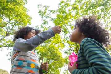 Wall Mural - Kids  Blowing Bubbles Together at the Field