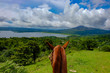 The Horse View