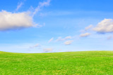 Fototapeta Tęcza - Green meadow under clear sky. Green earth