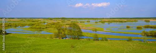Fotografía Panoramic view of wetlands covered with early spring green grass and woods in Biebrza River wildlife refuge in north-eastern Poland