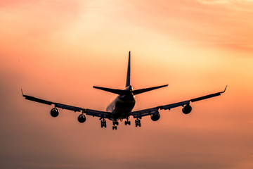 Wall Mural - Airplane landing at sunset