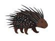 Porcupine icon isolated on white
