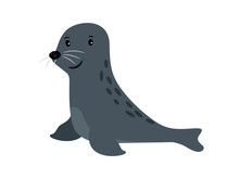 Seal Cute Sea Animal Icon