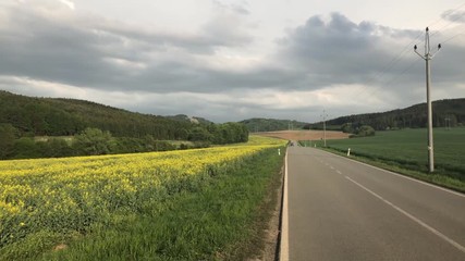 Wall Mural - On the empty road before storm