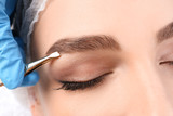 Fototapeta  - Young woman having professional eyebrow correction procedure in beauty salon