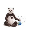 panda-protecteur-amour-coeur