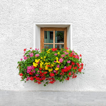 One Traditional Austrian Alpine Architecture Window With Blooming Summer Flowers