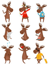 Flat Vector Set Of Funny Brown Moose Elk In Various Actions. Wild Forest Animal With Large Branched Horns