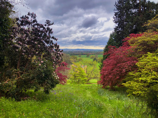 Canvas Print - Landscape viewed through trees