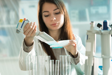 Wall Mural - Microbiological laboratory scientist woman with multi channel pipette going DNA test