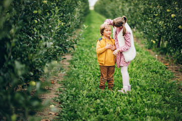 Wall Mural - Two funny kids playing in green apple orchard, happy childhood in countryside