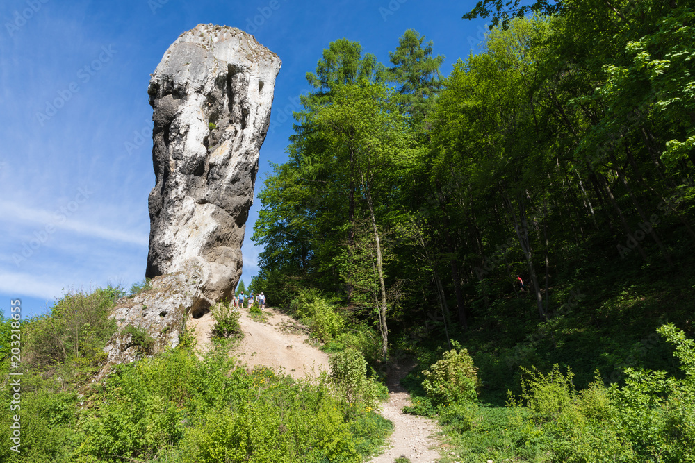 Limestone monadnock, rock called "Maczuga Herkuklesa" (Hercules cudgel or bludgeon). Jurassic rock formation with Pieskowa Skala Castle in the background in Ojcow National Park near Krakow - obrazy, fototapety, plakaty 