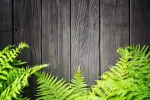 Fern Leaves On Wooden Background