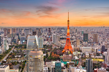 Tokyo, Japan cityscape and tower at dusk.