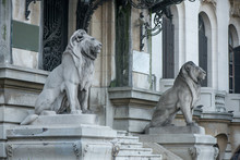Lion Statue In Front Of Building, Guarding The House. Concept Of Security, Safety And Strength
